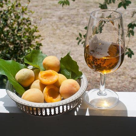 Whiskey Gully Wines Villa Stanthorpe Kültér fotó