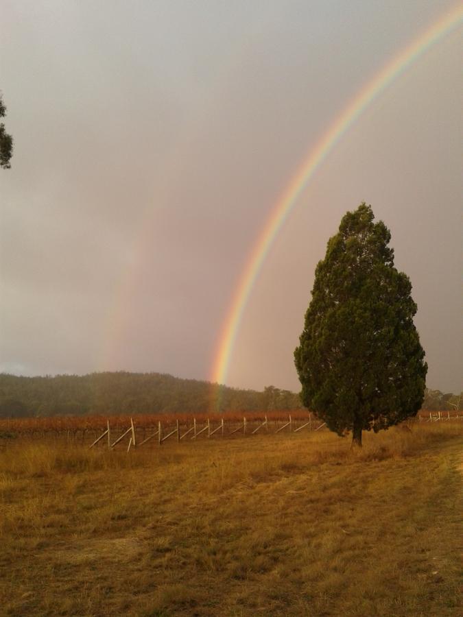 Whiskey Gully Wines Villa Stanthorpe Kültér fotó